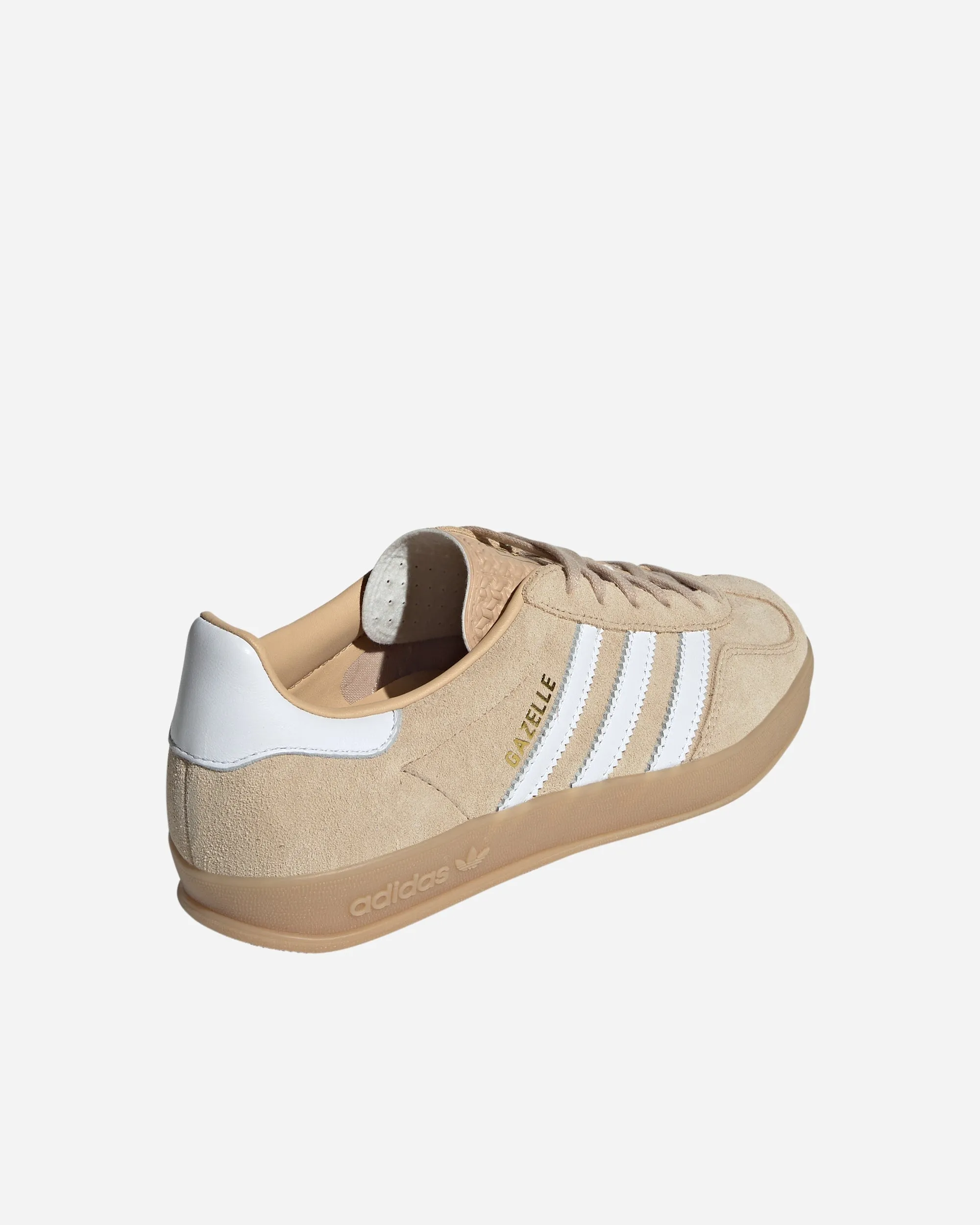 Gazelle Indoor