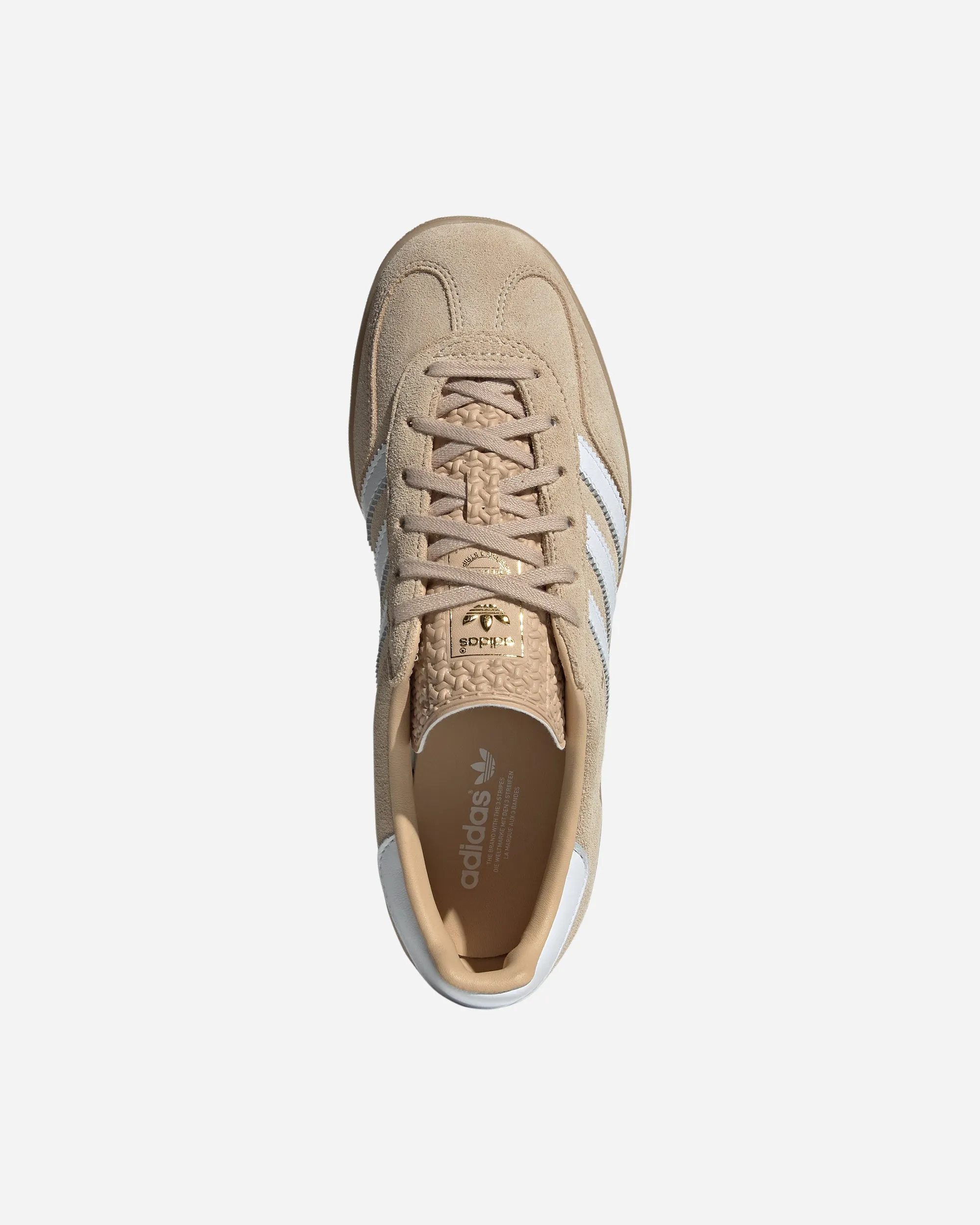 Gazelle Indoor