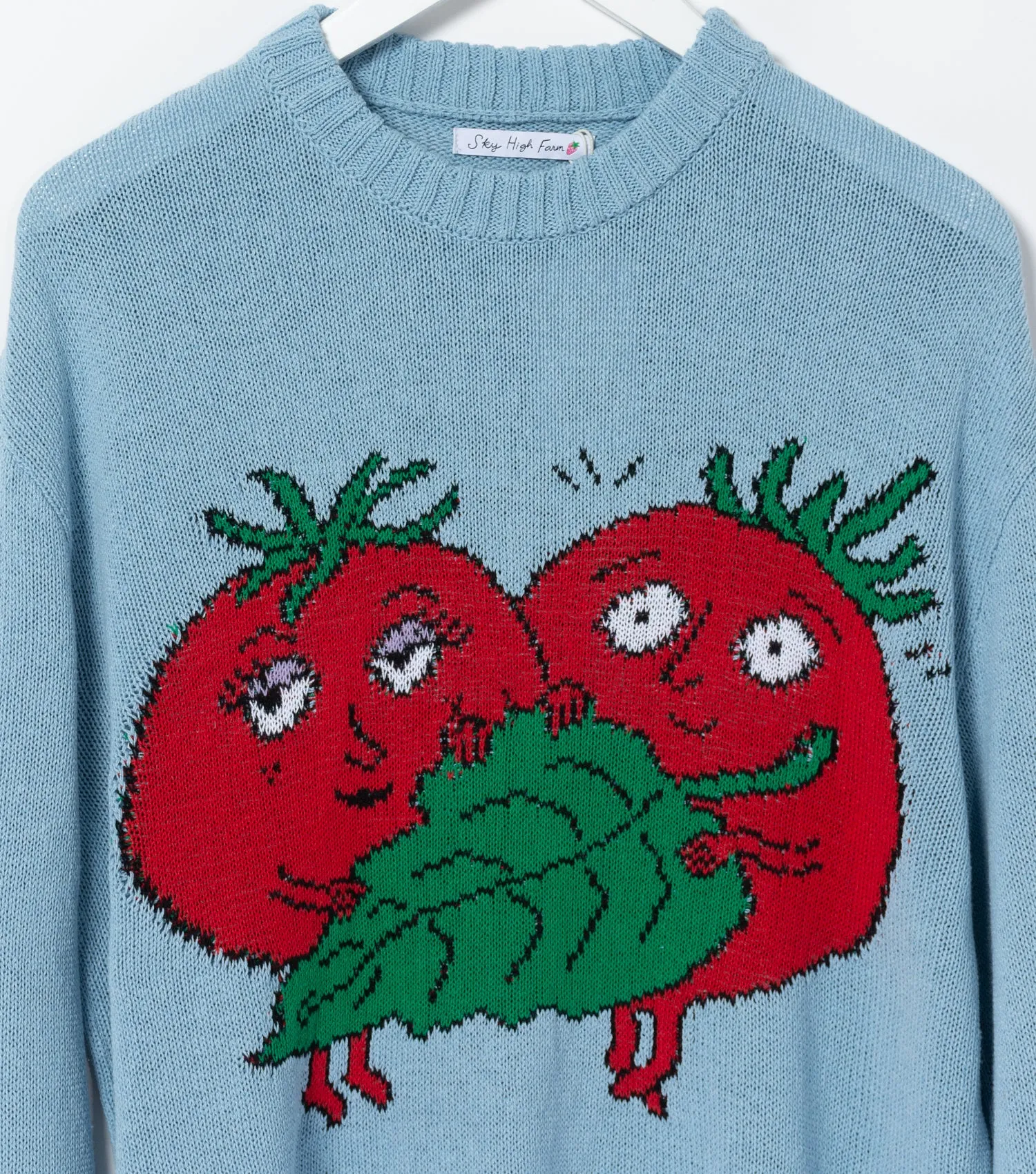 Intrasia Sweater (Light Blue)