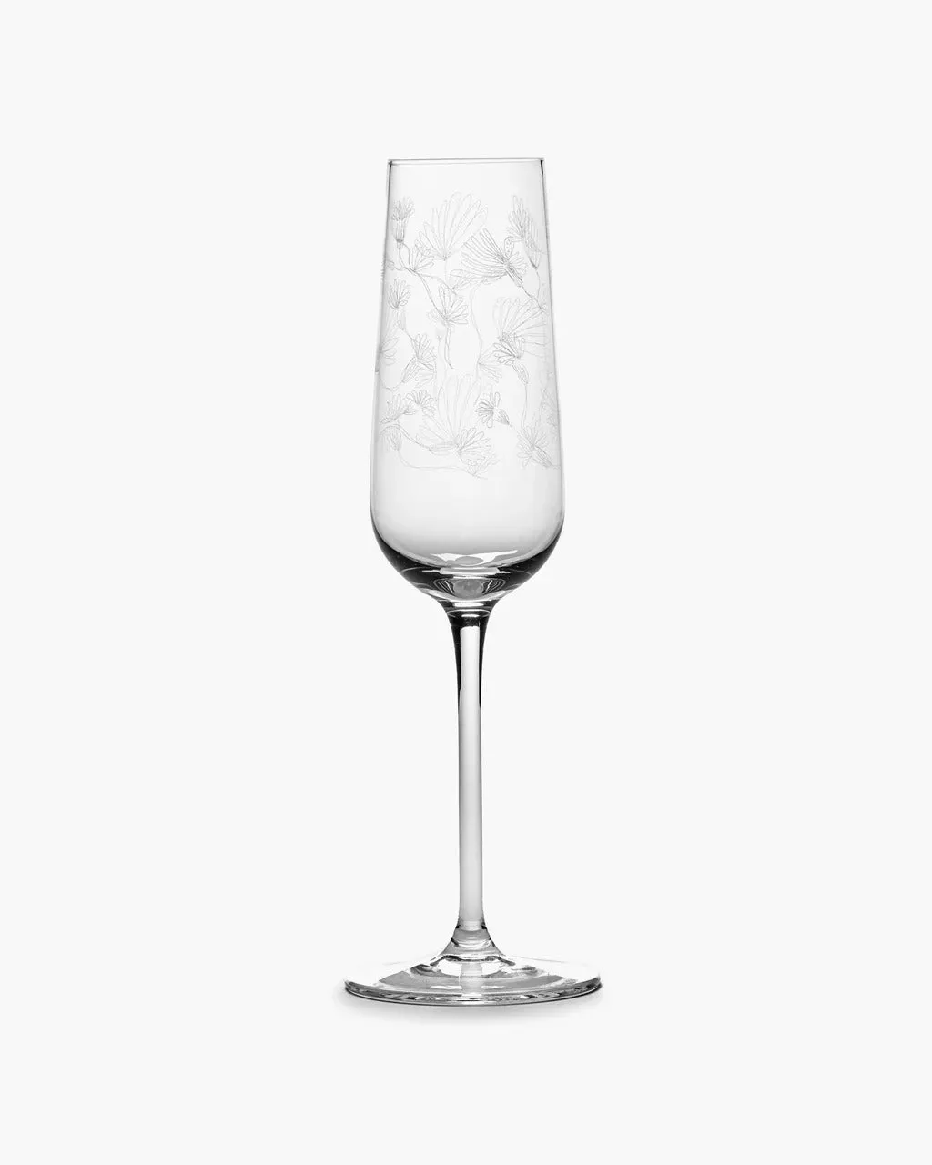 SERAX X MARNI - Camelia Aubergine Champagne Flute